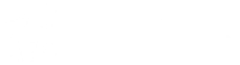 Bob Woodruff Foundation logo